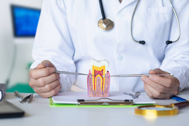 Best Emergency Treatment for Dental Infections or Abscesses in Belle Meade, TN